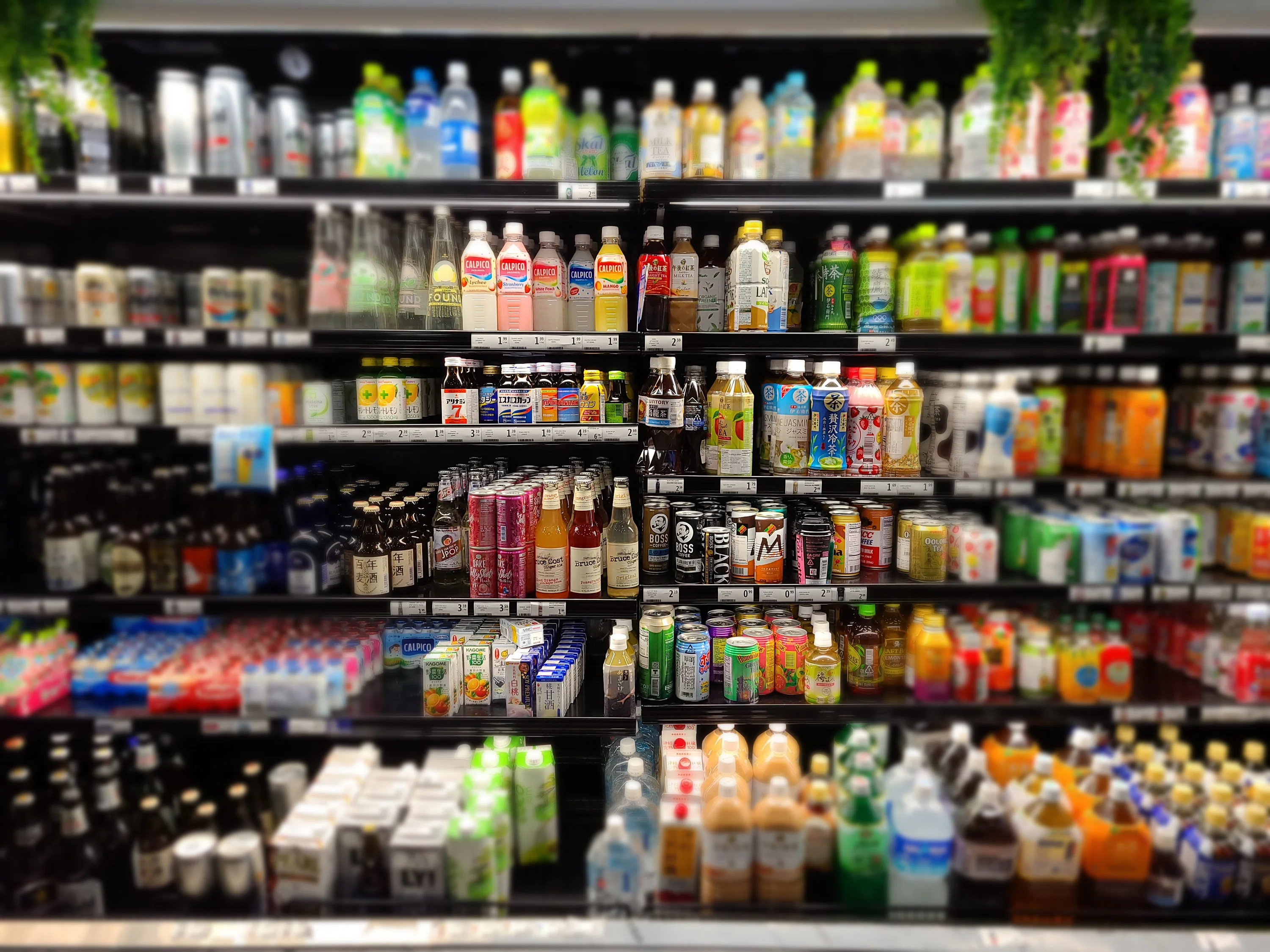 Fresh Flavors, Every Single Morning